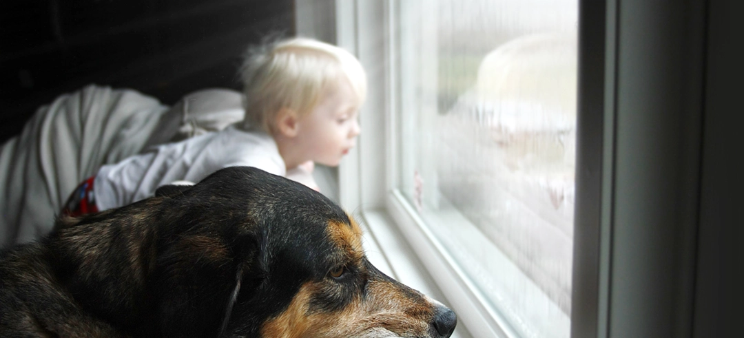 Un niño pequeño y un perro mirando por la ventana
