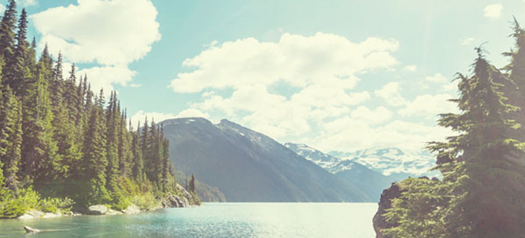 Paisaje de montaña, bosque y un río